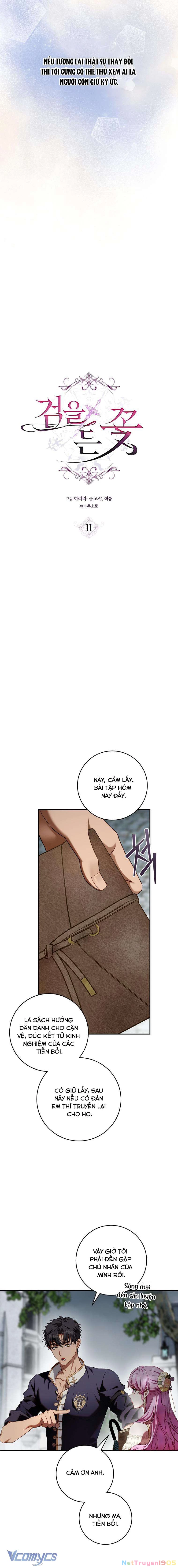 Hoa Bên Lưỡi Kiếm Chapter 11 - 8