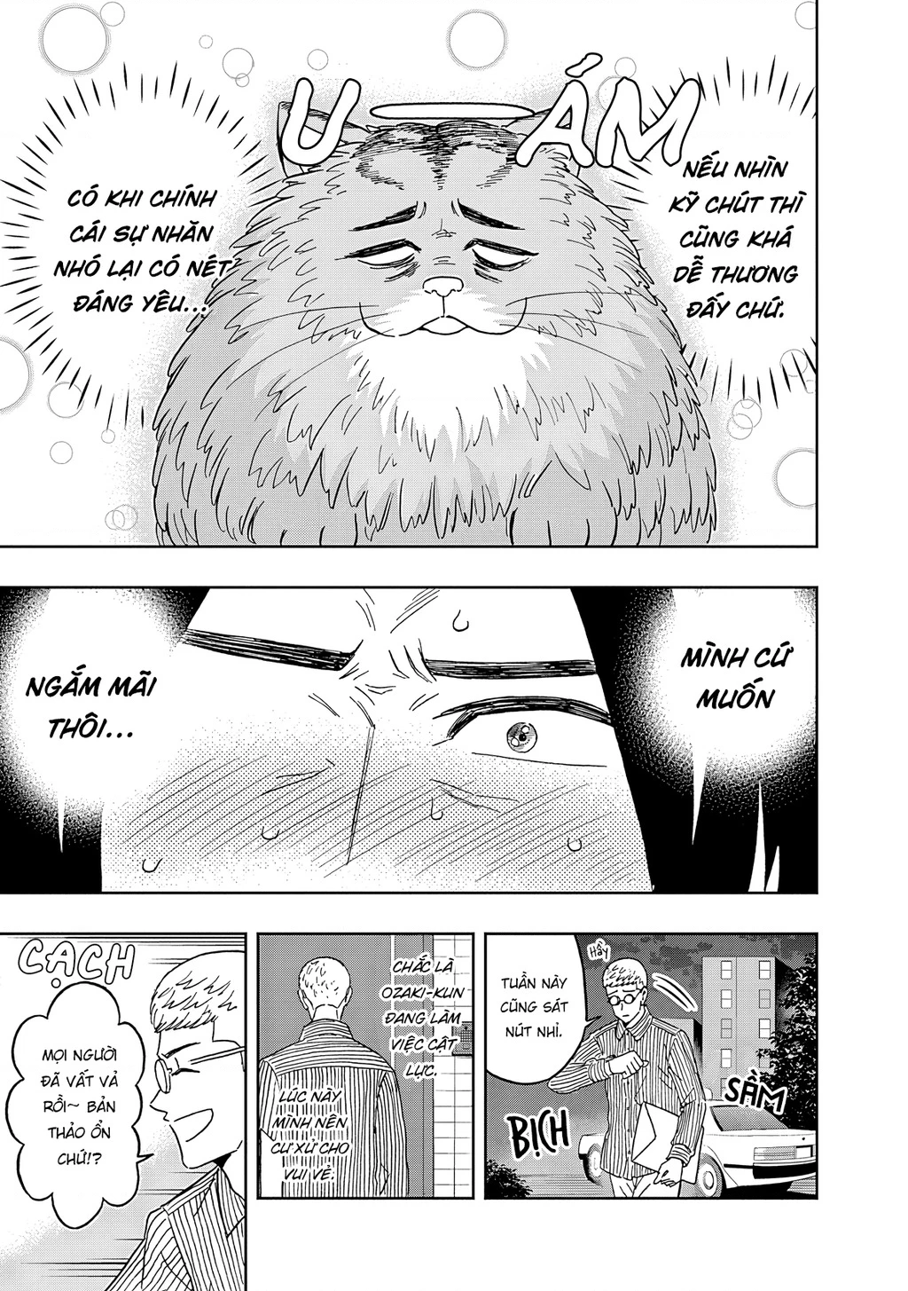 Keppeki Danshi! Aoyama-kun Chapter 52 - 18