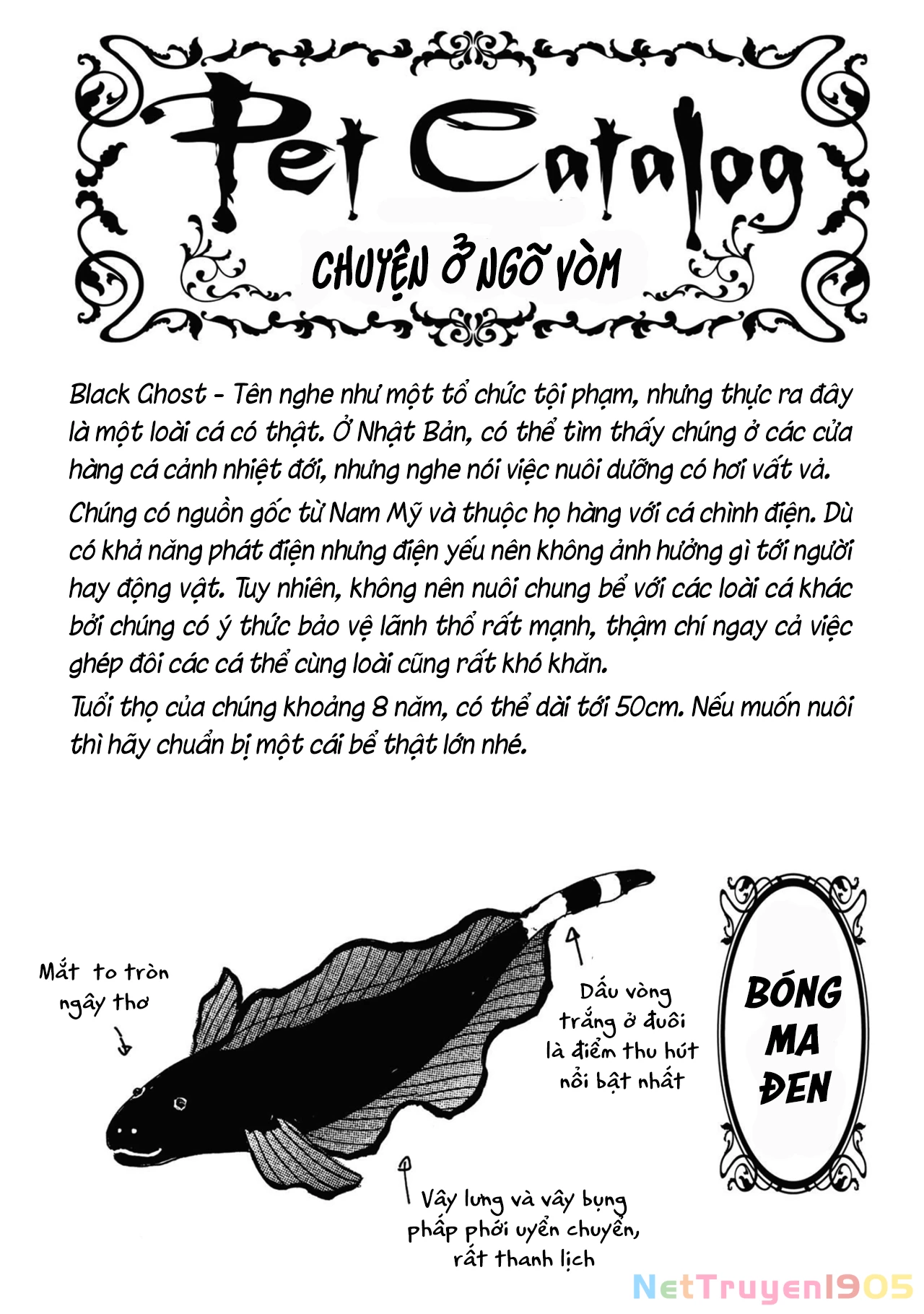Pet Shop of Horrors - Passage-hen : Tiệm thú kiểng tiền truyện Chapter 5.3 - 47