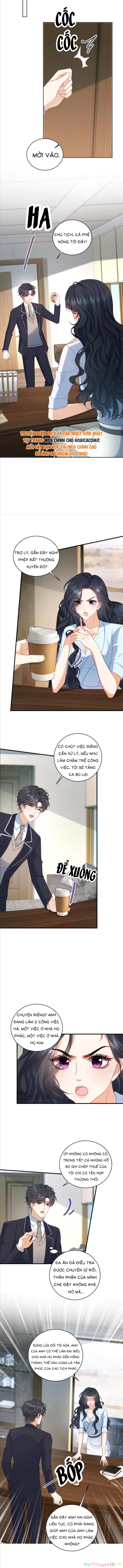 Bạn Gái Giả Ngốc Của Chủ Tịch Chapter 17 - Trang 2