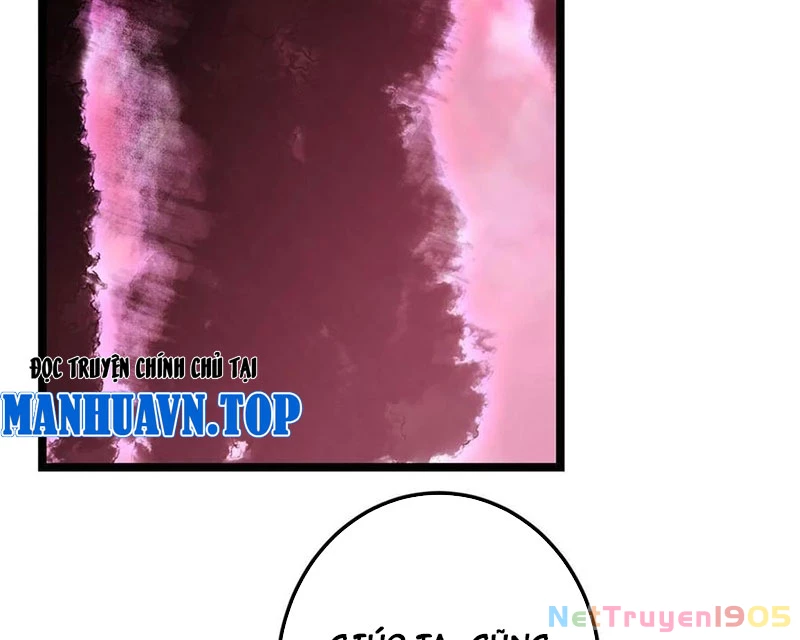 Chưởng Môn Khiêm Tốn Chút Chapter 516 - Trang 2