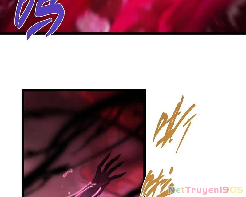 Chưởng Môn Khiêm Tốn Chút Chapter 516 - Trang 2