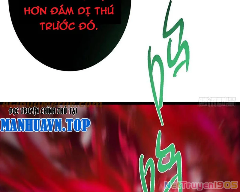 Chưởng Môn Khiêm Tốn Chút Chapter 516 - Trang 2