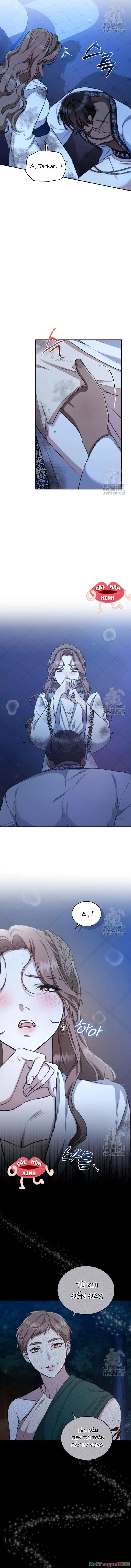 Khu Rừng Hoang Dã Chapter 22 - 2