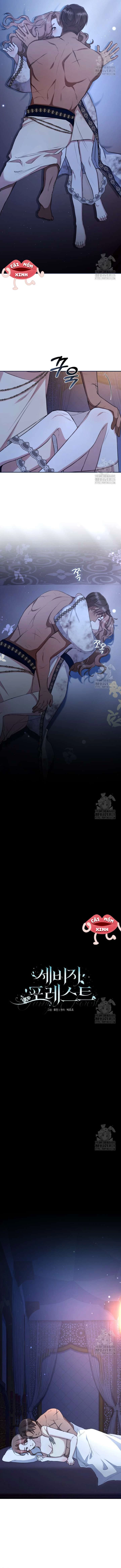 Khu Rừng Hoang Dã Chapter 22 - 5
