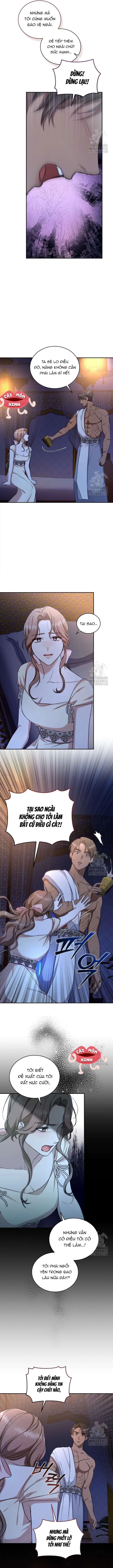 Khu Rừng Hoang Dã Chapter 22 - 8