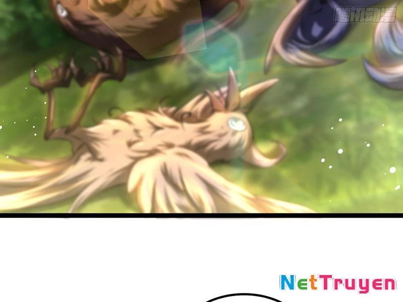 Tinh Thú Sư Mạnh Nhất Chapter 4 - 46