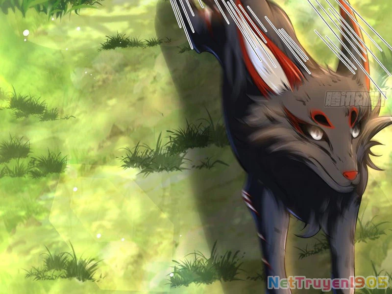 Tinh Thú Sư Mạnh Nhất Chapter 4 - 60