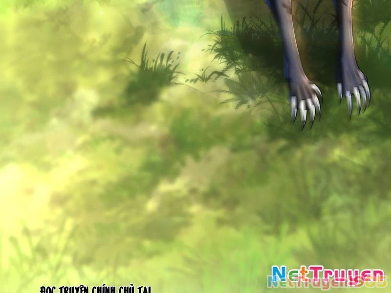 Tinh Thú Sư Mạnh Nhất Chapter 4 - 61