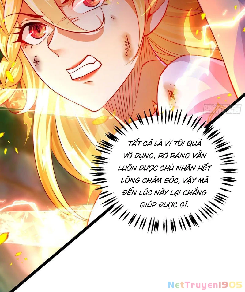 Tinh Thú Sư Mạnh Nhất Chapter 5 - 54