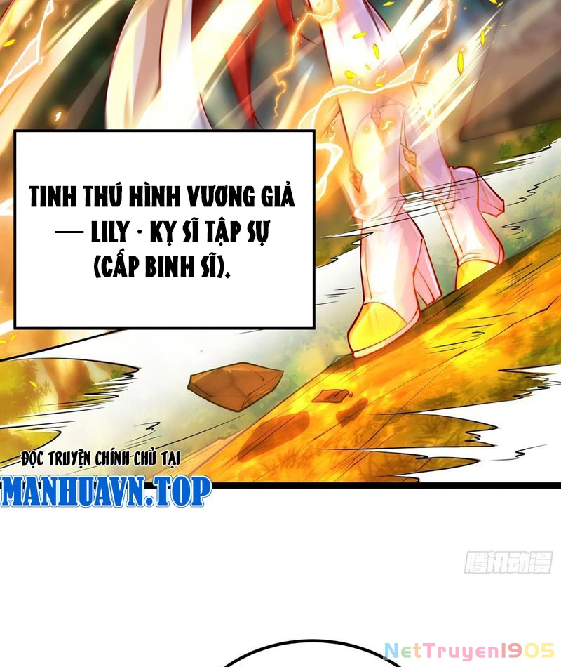 Tinh Thú Sư Mạnh Nhất Chapter 5 - 64