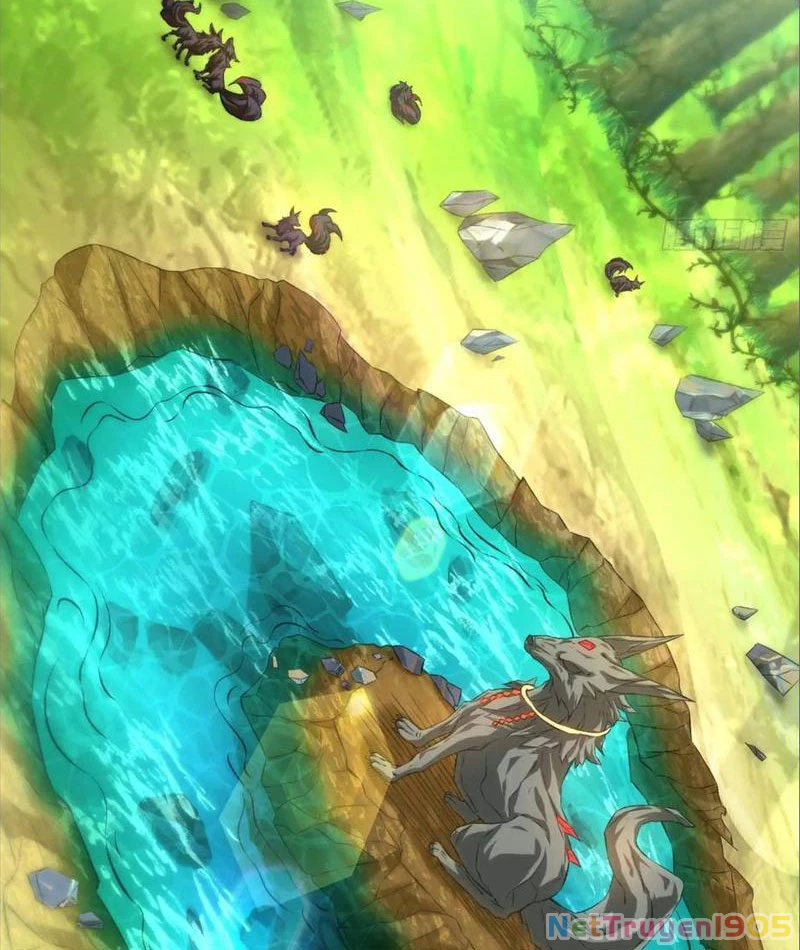 Tinh Thú Sư Mạnh Nhất Chapter 6 - 18