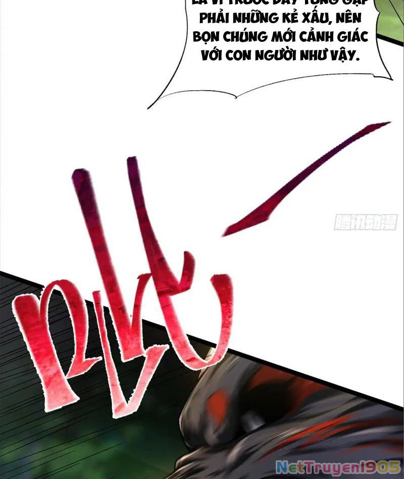 Tinh Thú Sư Mạnh Nhất Chapter 6 - 24