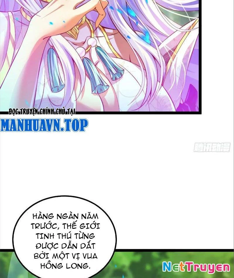Tinh Thú Sư Mạnh Nhất Chapter 6 - 46