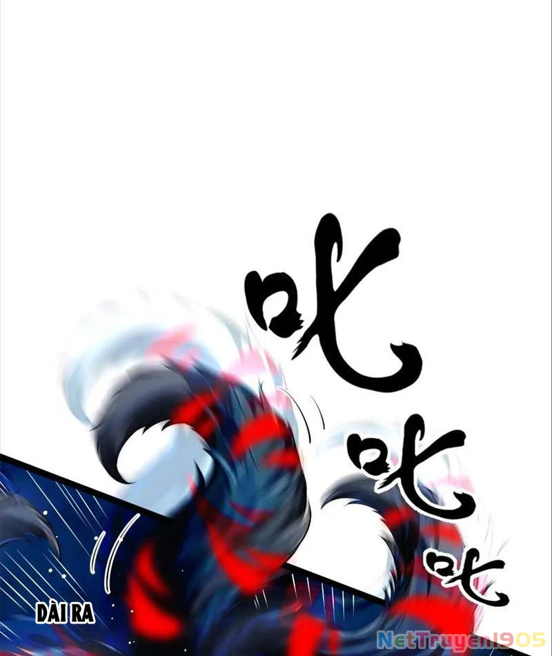 Tinh Thú Sư Mạnh Nhất Chapter 7 - 47
