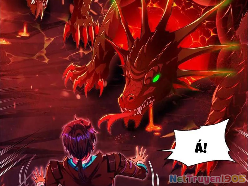 Tinh Thú Sư Mạnh Nhất Chapter 8 - 99