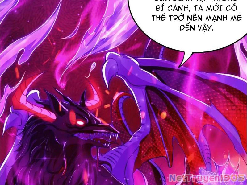 Tinh Thú Sư Mạnh Nhất Chapter 9 - 24