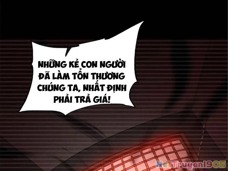 Tinh Thú Sư Mạnh Nhất Chapter 9 - 34