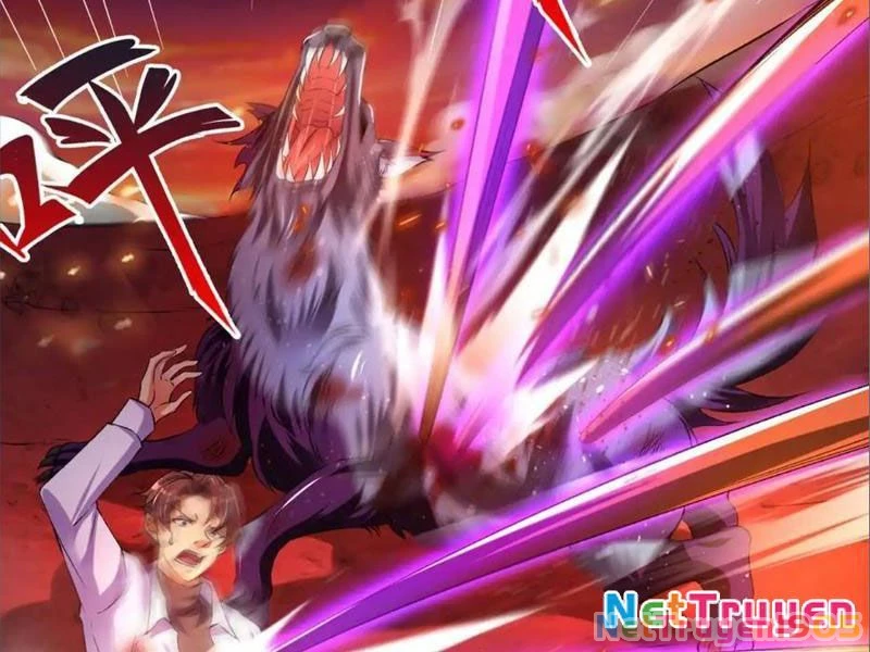 Tinh Thú Sư Mạnh Nhất Chapter 9 - 41