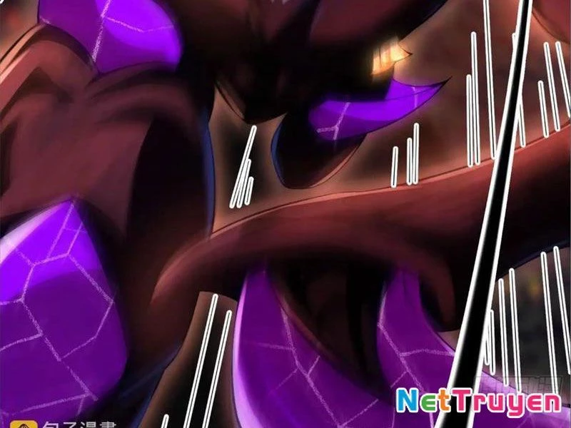 Tinh Thú Sư Mạnh Nhất Chapter 10 - 11