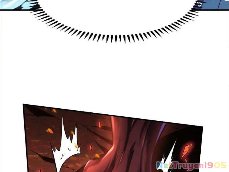 Tinh Thú Sư Mạnh Nhất Chapter 11 - 15