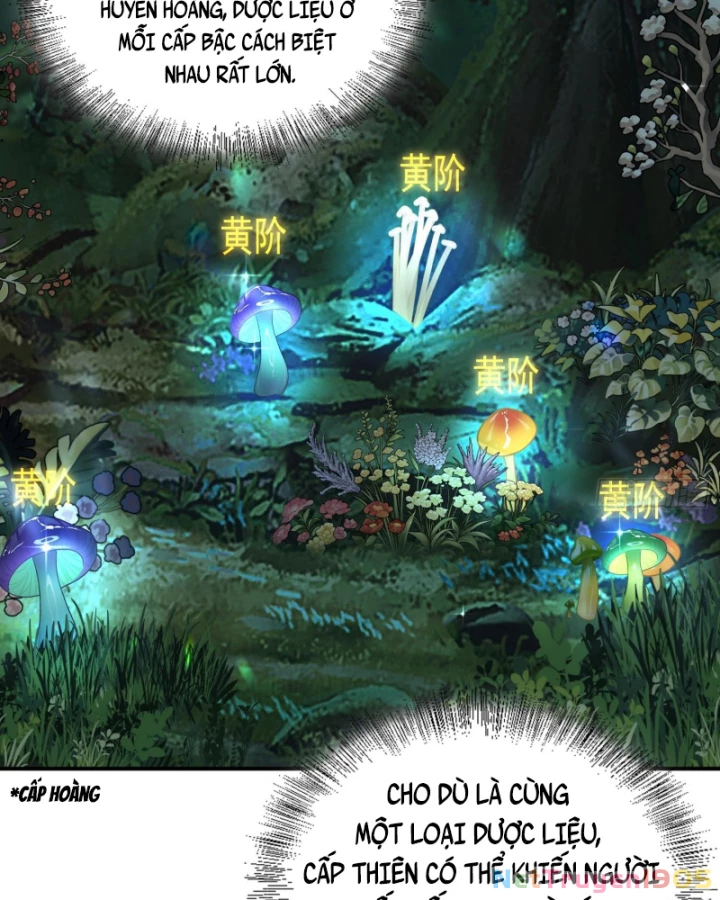 Toàn Trí Tu Tiên Giả Chapter 33 - 26