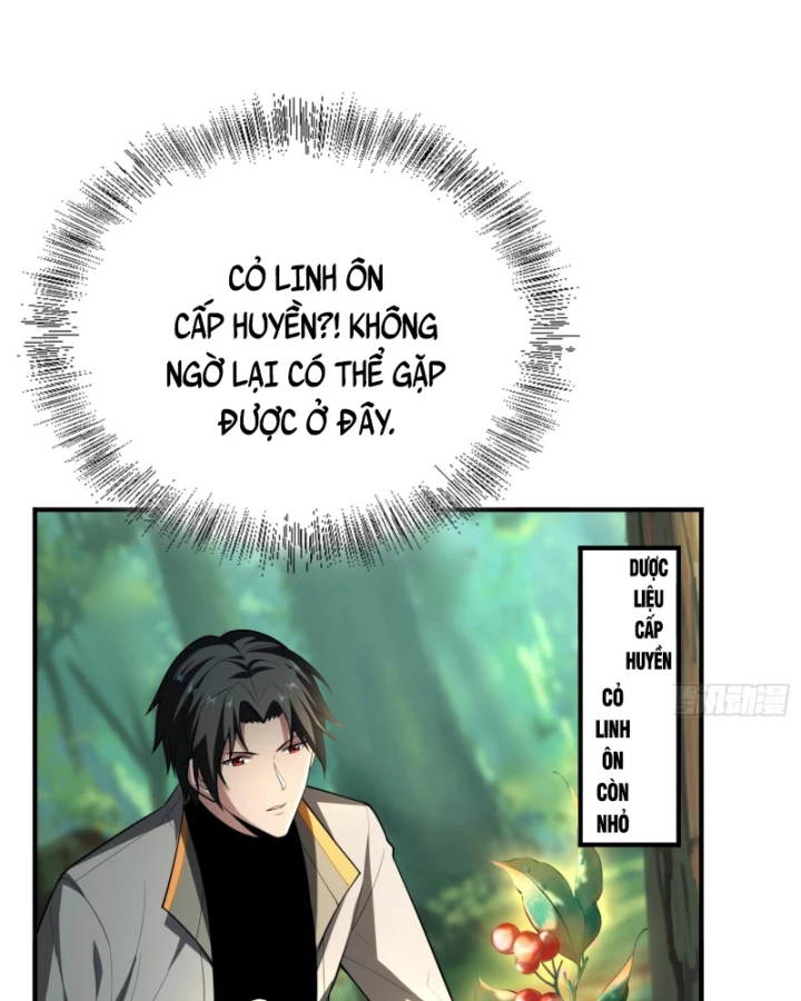 Toàn Trí Tu Tiên Giả Chapter 33 - 32