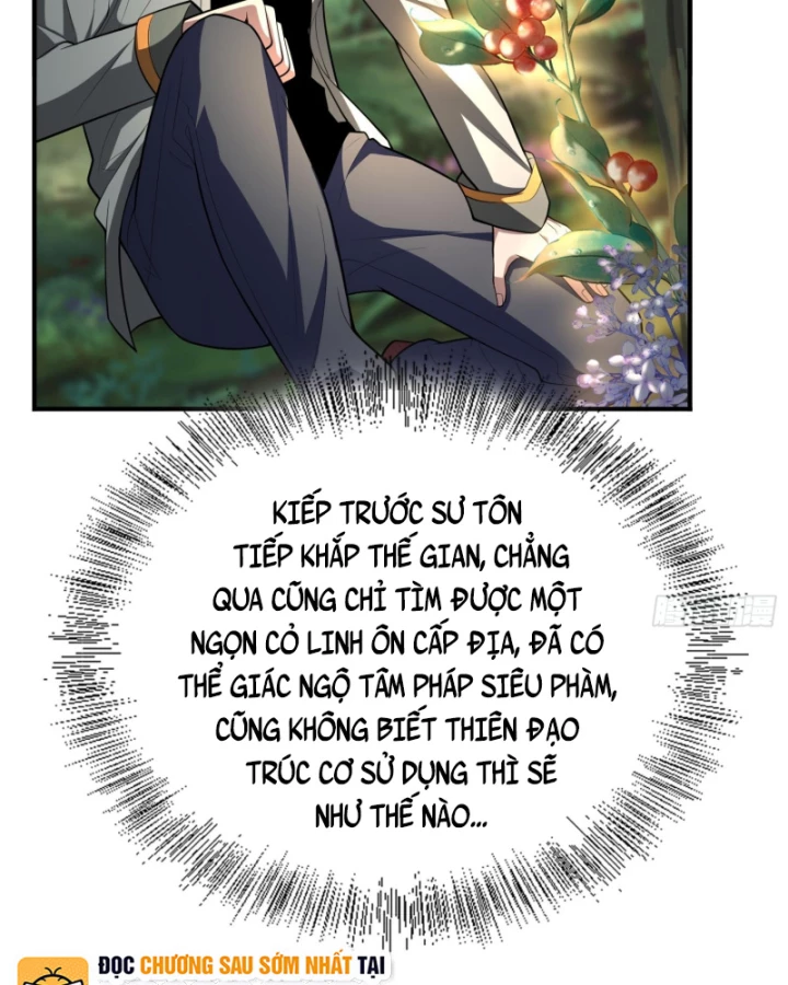 Toàn Trí Tu Tiên Giả Chapter 33 - 33