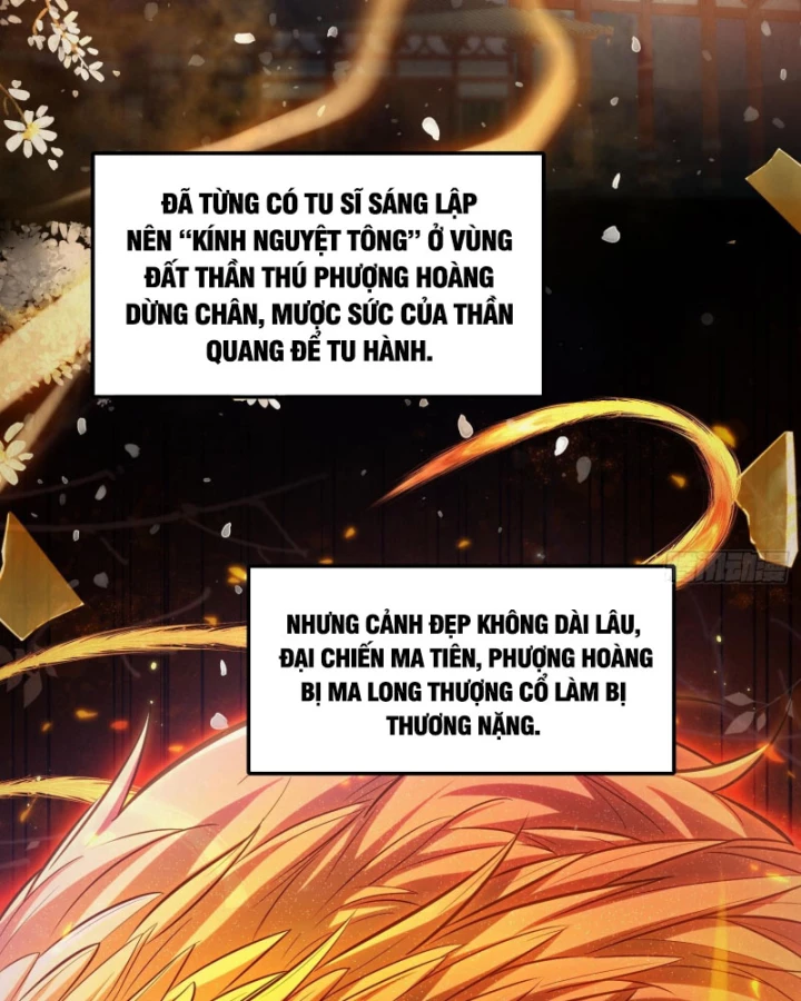 Toàn Trí Tu Tiên Giả Chapter 48 - Trang 2
