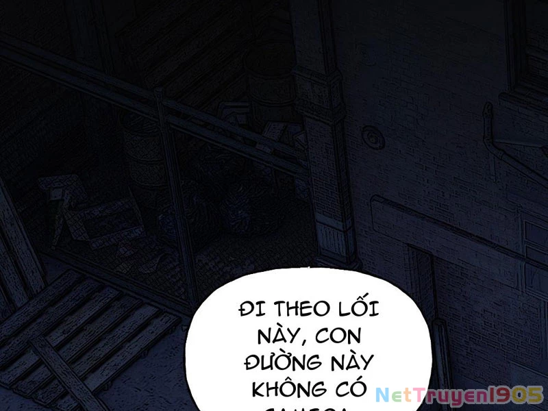 Trùng Sinh Tại Thế Giới Tu Chân, Ta Giết Tới Đỉnh Chapter 13 - 17