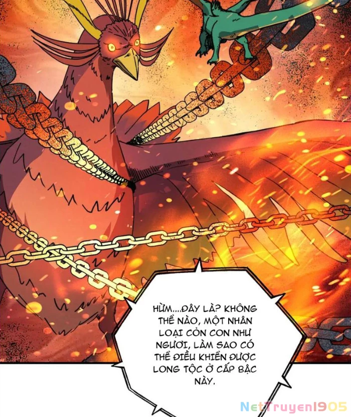 Bắt đầu chuyển chức tài thần, ta chuyển hóa triệu vạn thần sủng Chapter 28 - 22