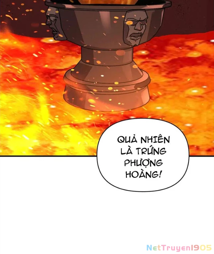 Bắt đầu chuyển chức tài thần, ta chuyển hóa triệu vạn thần sủng Chapter 28 - 40