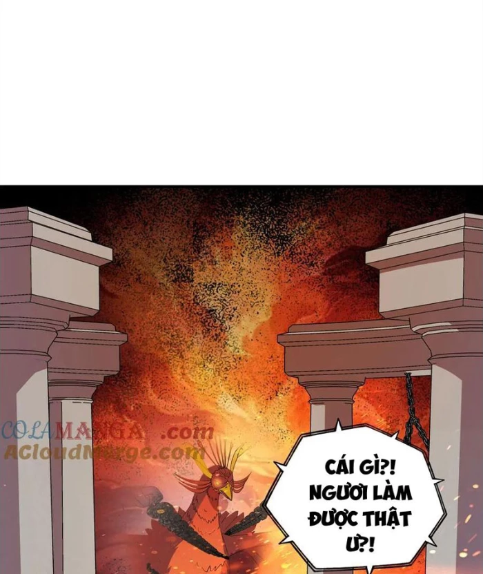 Bắt đầu chuyển chức tài thần, ta chuyển hóa triệu vạn thần sủng Chapter 28 - 50