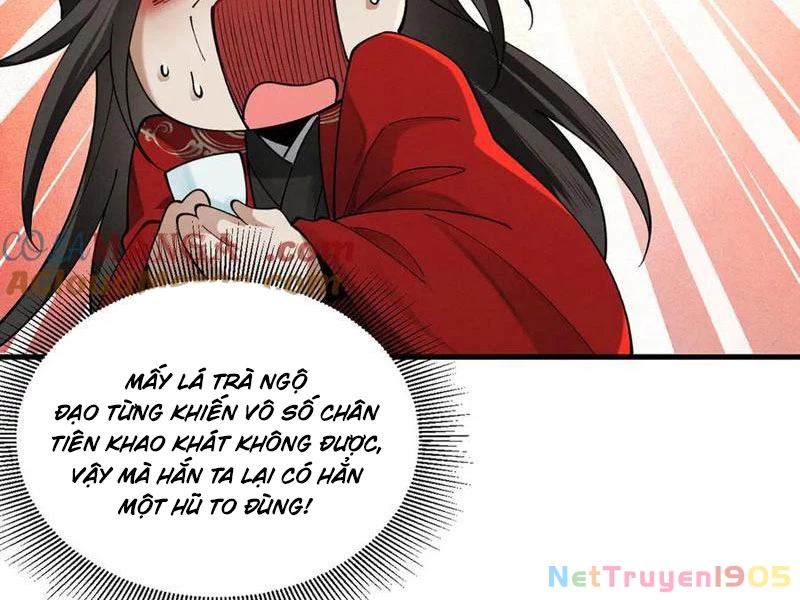 Gặp Mạnh Thì Mạnh, Ta Tu Vi Vô Thượng Hạn Chapter 54 - Trang 2