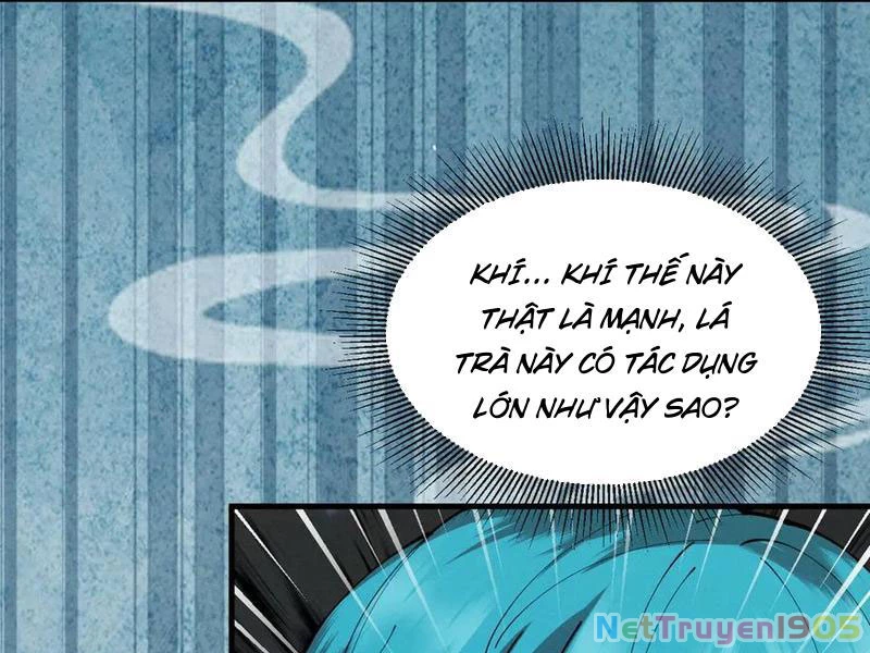 Gặp Mạnh Thì Mạnh, Ta Tu Vi Vô Thượng Hạn Chapter 54 - Trang 2