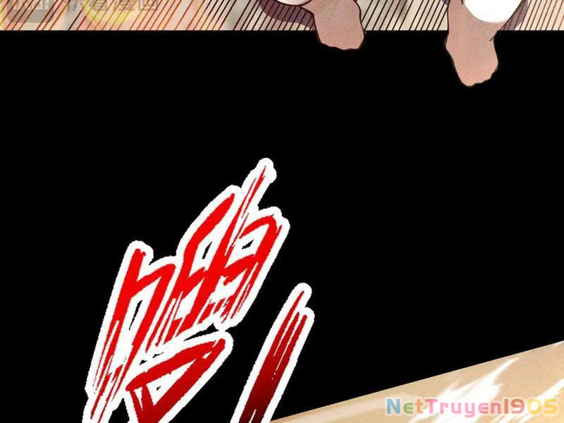 Gặp Mạnh Thì Mạnh, Ta Tu Vi Vô Thượng Hạn Chapter 54 - Trang 2
