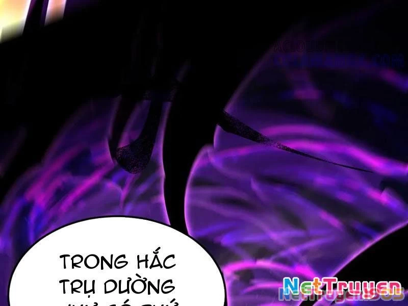 Bắt Đầu Chấn Kinh Nữ Đế Lão Bà, Ta Vô Địch! Chapter 82 - 56