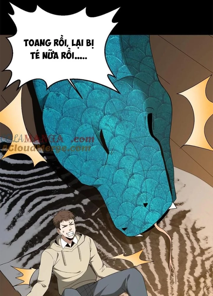 Ngày Tôi Sinh Ra, Bách Quỷ Dạ Hành, Tuyết Thi Hộ Đạo Chapter 735 - 43