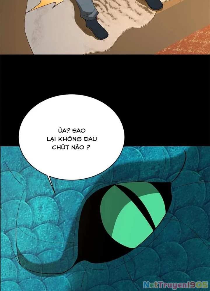 Ngày Tôi Sinh Ra, Bách Quỷ Dạ Hành, Tuyết Thi Hộ Đạo Chapter 735 - 45