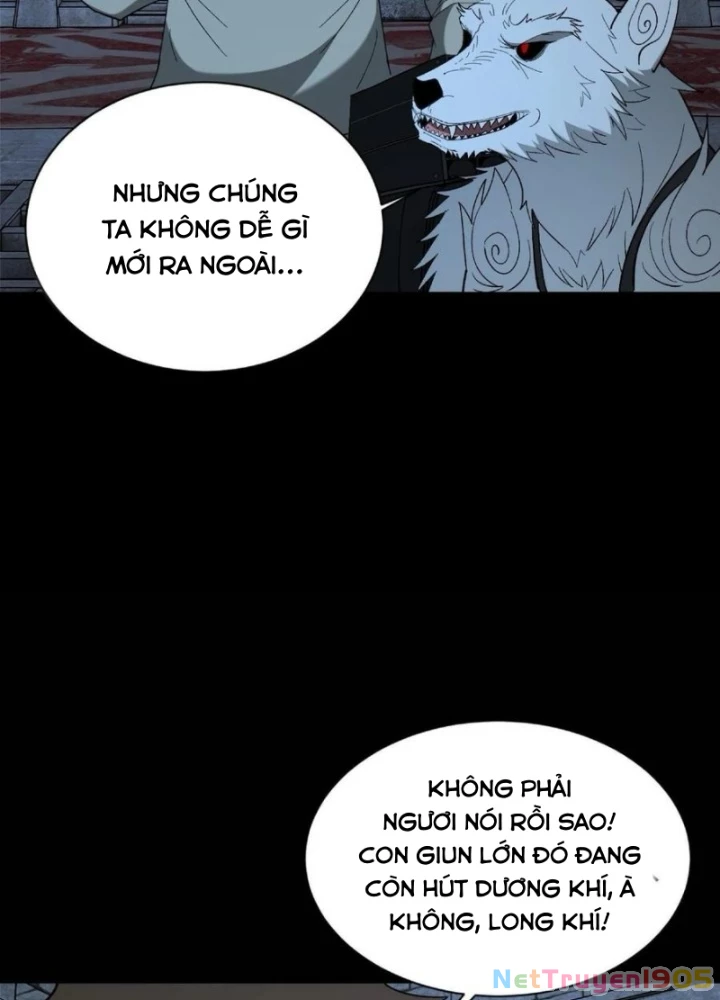 Ngày Tôi Sinh Ra, Bách Quỷ Dạ Hành, Tuyết Thi Hộ Đạo Chapter 736 - 65