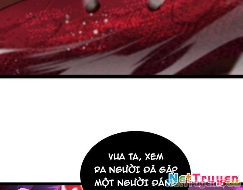 Tinh Thú Sư Mạnh Nhất Chapter 12 - 81