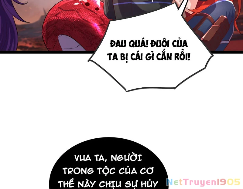 Tinh Thú Sư Mạnh Nhất Chapter 12 - 83