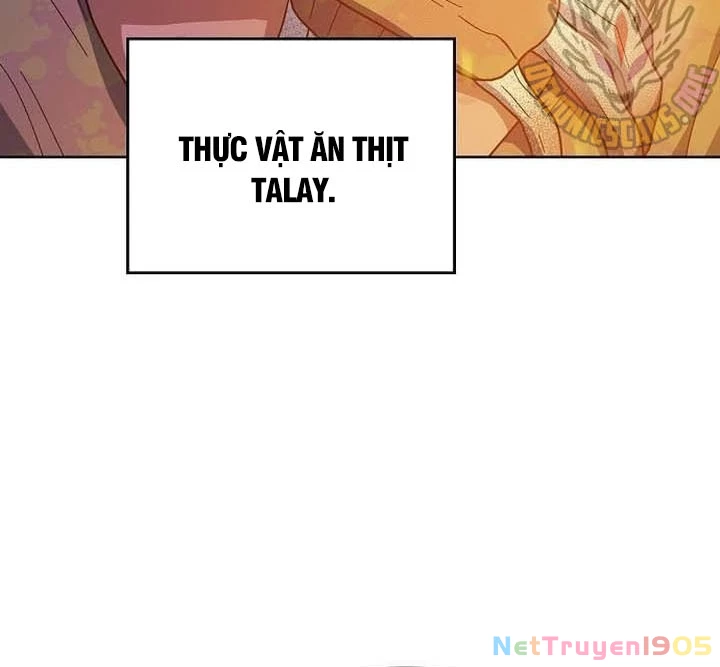 Nền Văn Minh Nebula Chapter 95 - 10