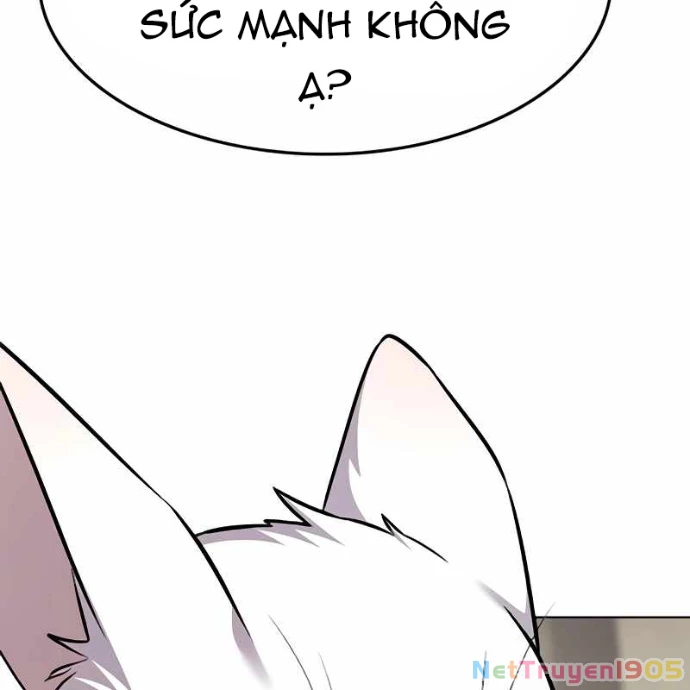 Hoá Thân Thành Mèo Chapter 355 - 124