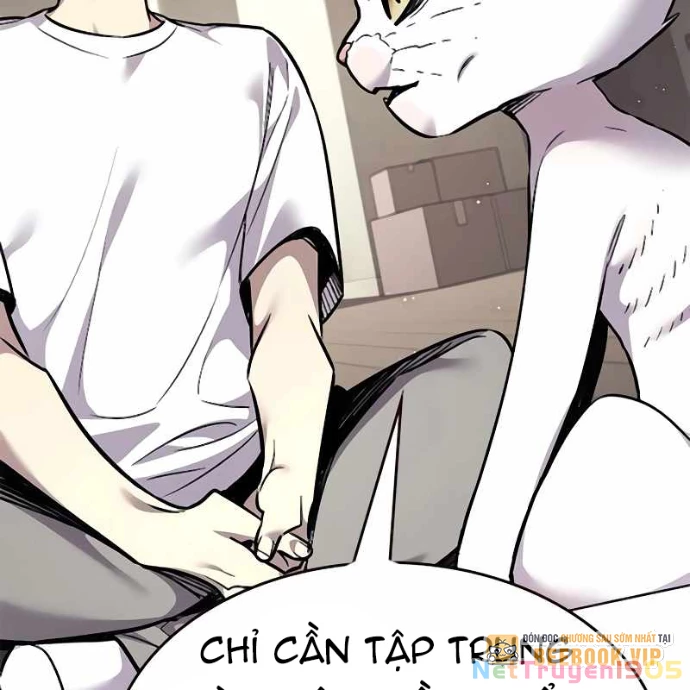 Hoá Thân Thành Mèo Chapter 355 - 147
