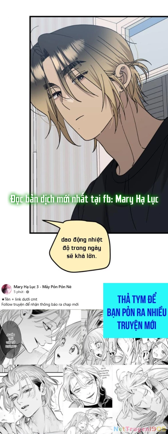 Quy Luật Về Rác Rưởi Chapter 26.2 - 15