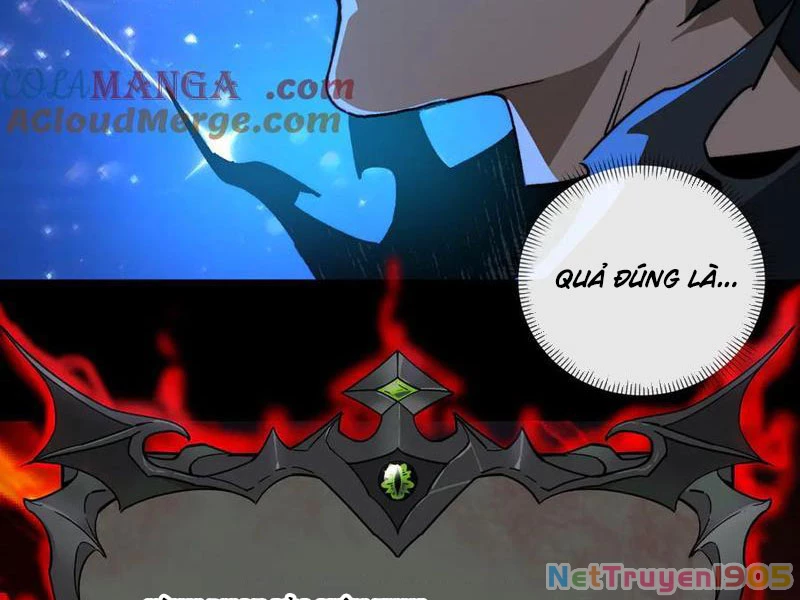 Tai Ách Cấp Mục Sư Chapter 48 - 9