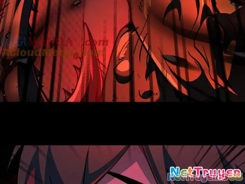 Tai Ách Cấp Mục Sư Chapter 48 - 51