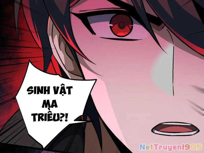 Tai Ách Cấp Mục Sư Chapter 48 - 52