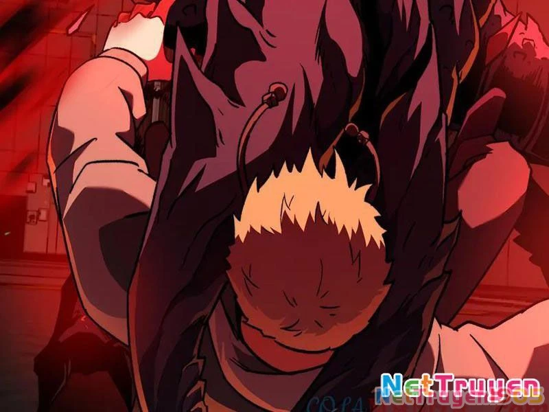 Tai Ách Cấp Mục Sư Chapter 48 - 71